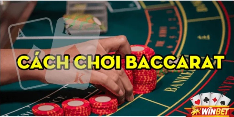 Cập nhật tin tức thể thao hấp dẫn cùng TF88