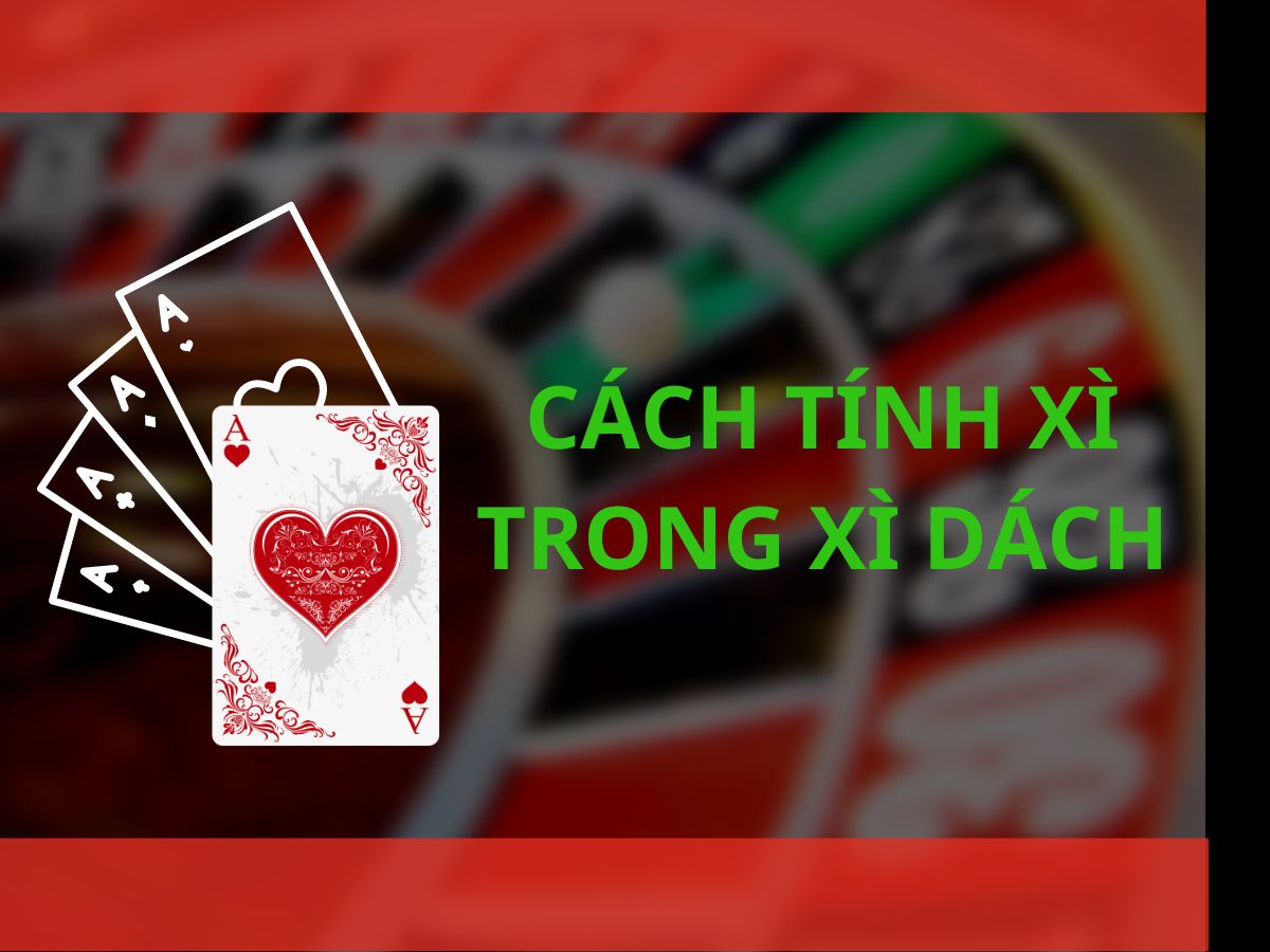 Cập nhật kết quả bóng đá plus tại TF88 bất cứ lúc nào!