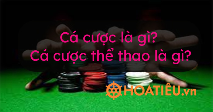 Khám Phá Trải Nghiệm Chơi Tiến Lên Đếm Lá Tại TF88