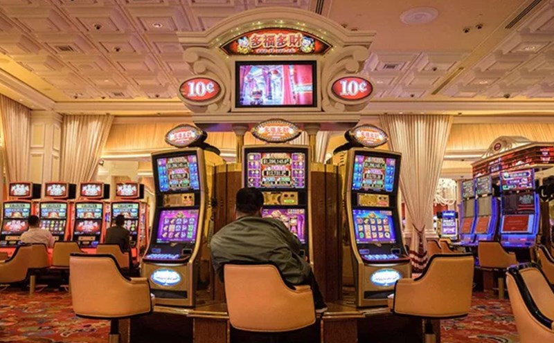 Khám phá trải nghiệm trực tuyến đáng nhớ cùng TF88 và Netbet Casino Live